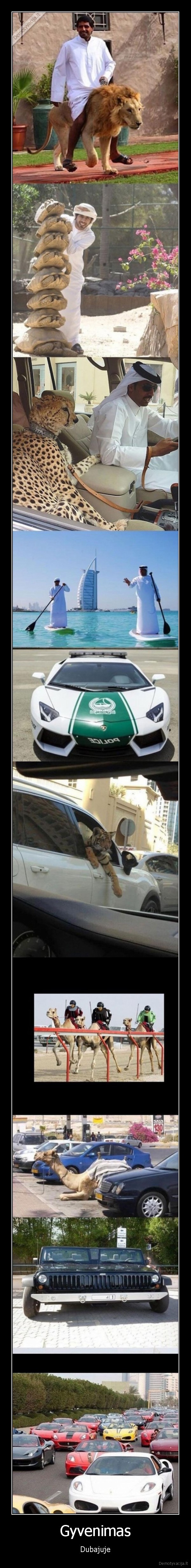 dubajus,gyvenimas