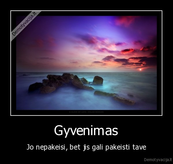 Gyvenimas