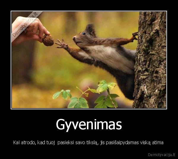 gyvenimas,nusivylimas