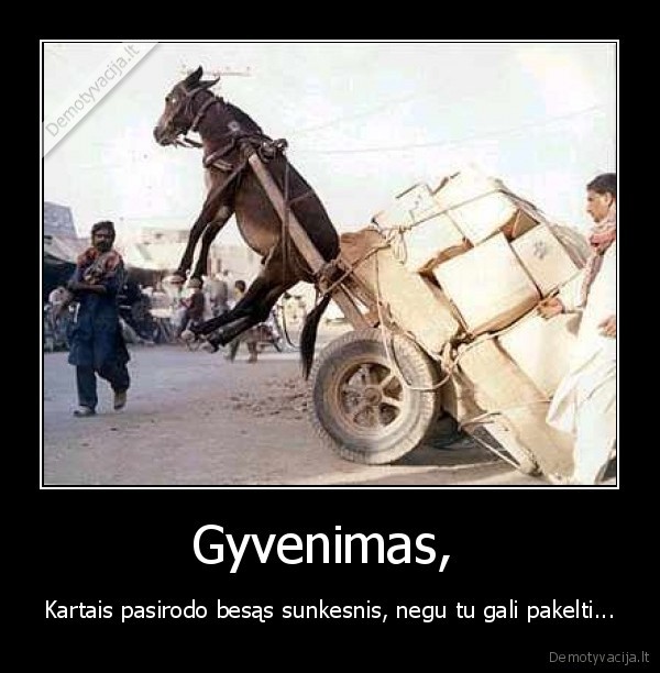 Gyvenimas, 