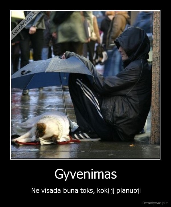 Gyvenimas