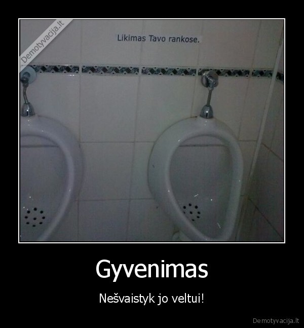 Gyvenimas