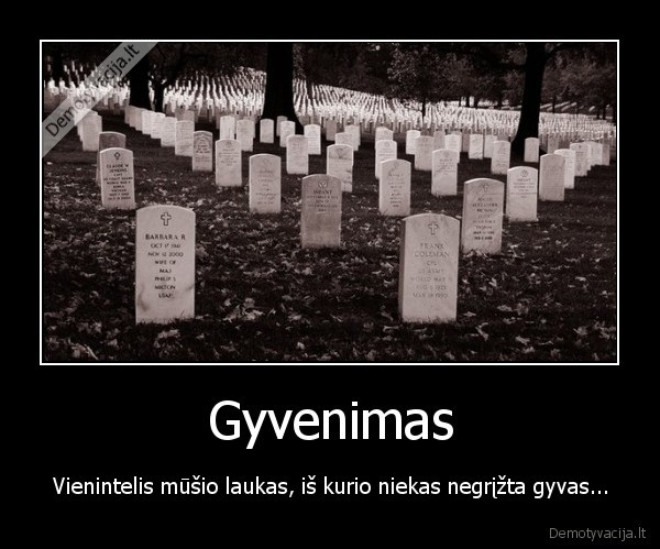 gyvenimas,mirtis,gyvenimo, ismintis,gilios, mintys