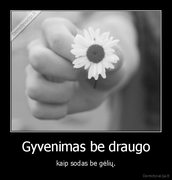 Gyvenimas be draugo