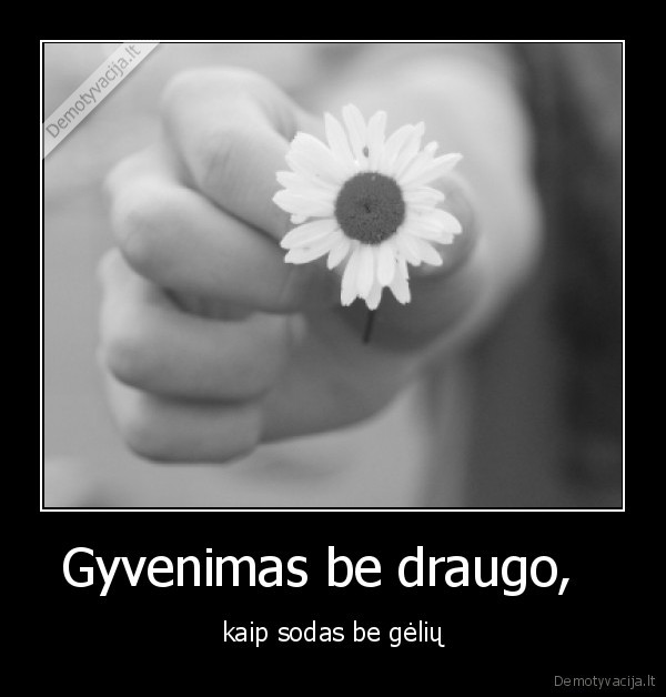 gyvenimas,sodas,geles,draugas