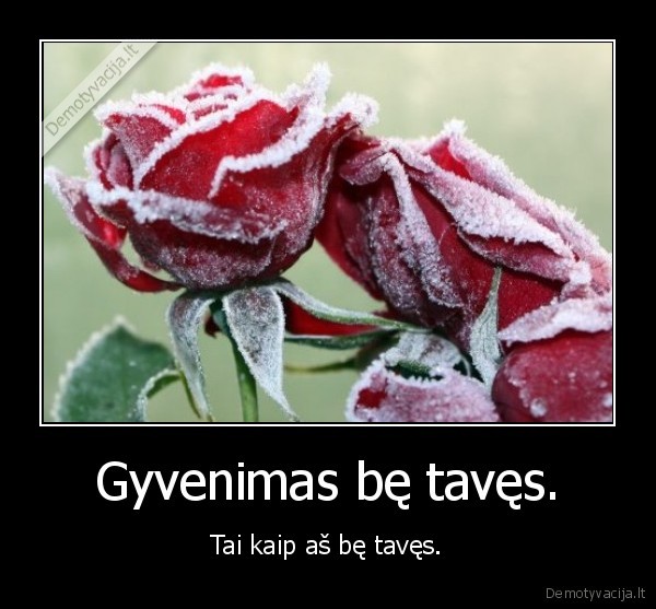 geles