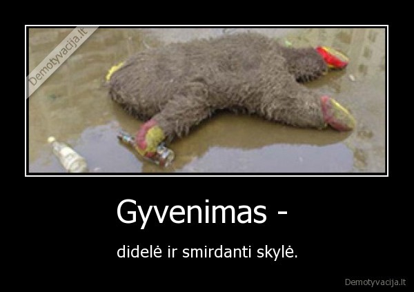 Gyvenimas - 
