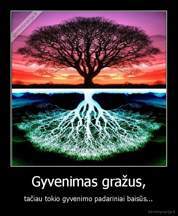 Gyvenimas gražus,