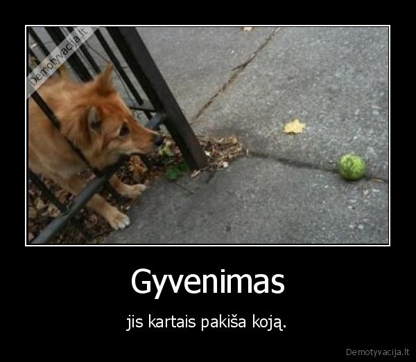 Gyvenimas