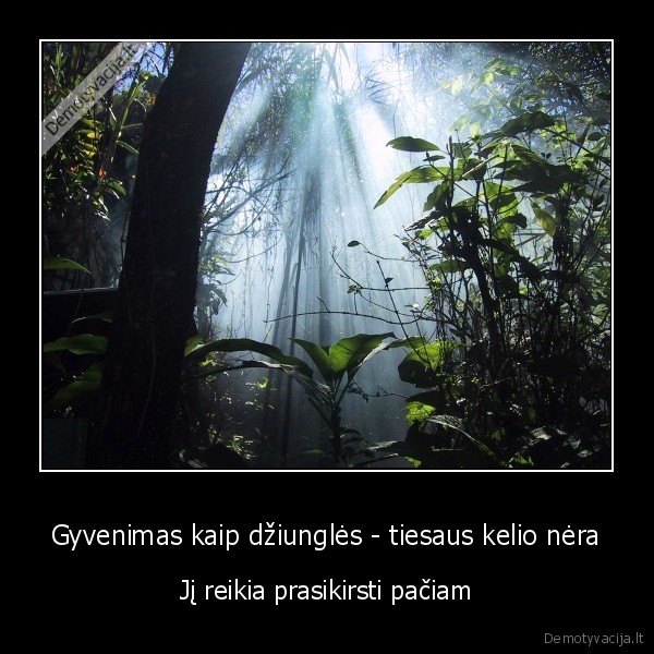 sunkumai,garbe,sunkus, gyvenimas