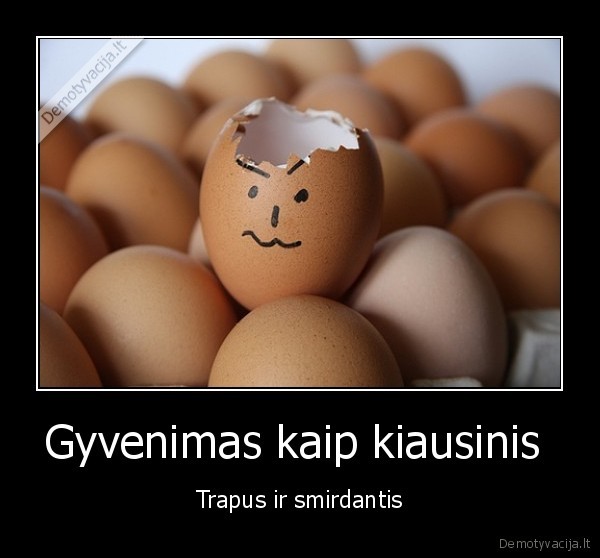 Gyvenimas kaip kiausinis 