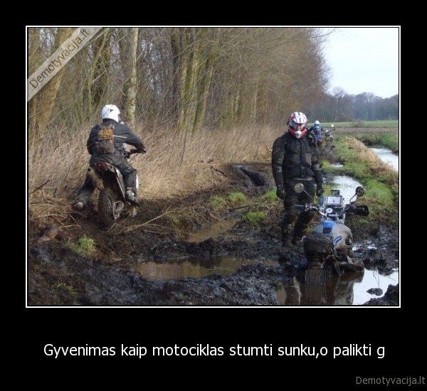 gyvenimas