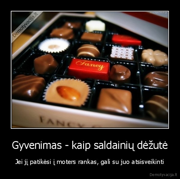 saldainiai,gyvenimas,gyvenimo, ismintis