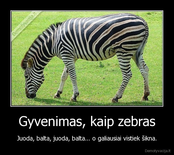 gyvenimo, tiesa