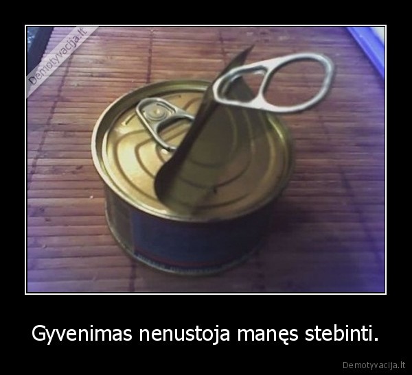 Gyvenimas nenustoja manęs stebinti.
