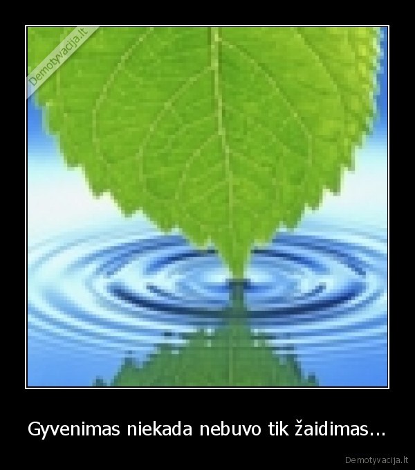 gyvenimas