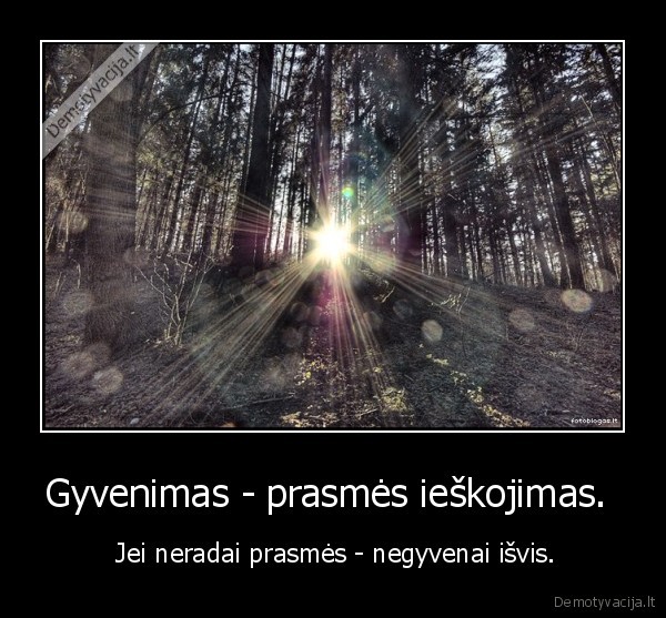 Gyvenimas - prasmės ieškojimas. 