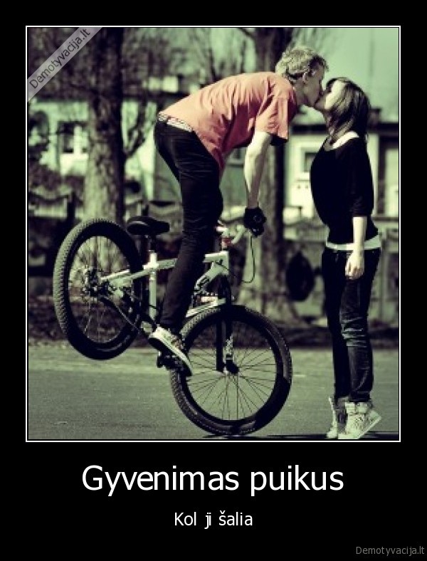 Gyvenimas puikus