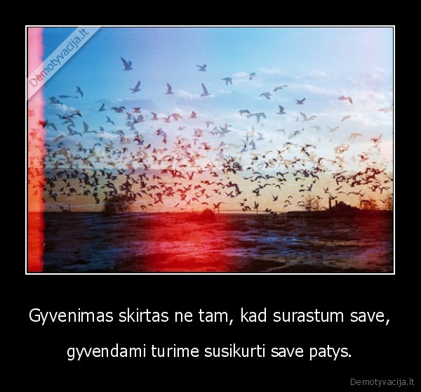 life, life, life