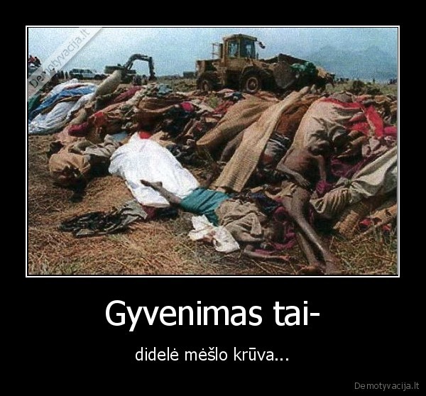 Gyvenimas tai-
