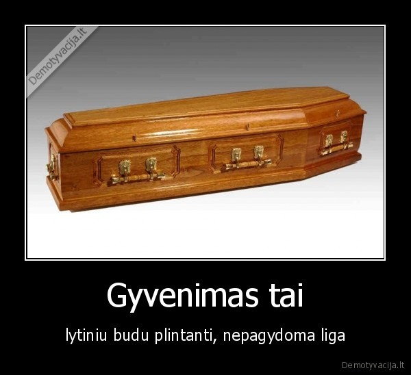 Gyvenimas tai