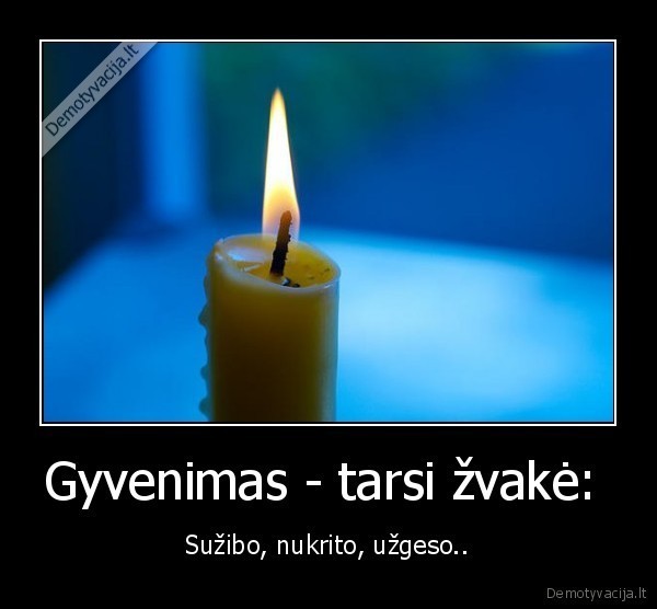 gyvenimas,zvake