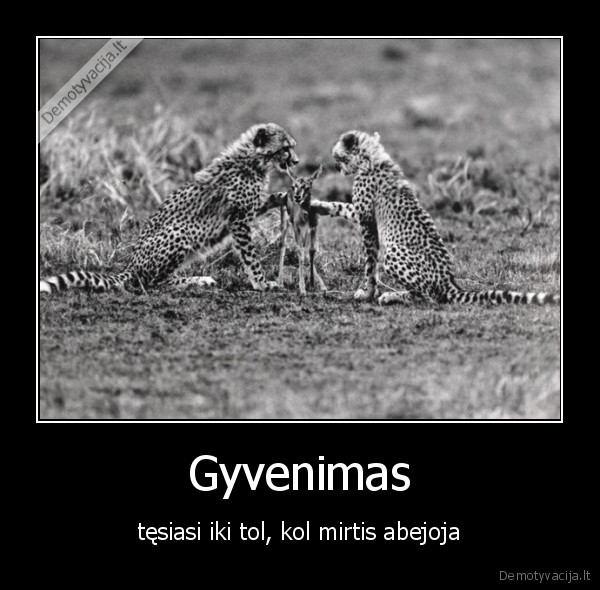Gyvenimas