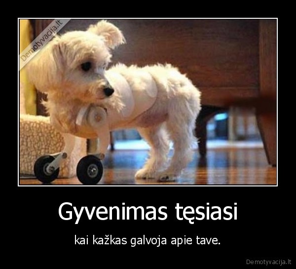 Gyvenimas tęsiasi