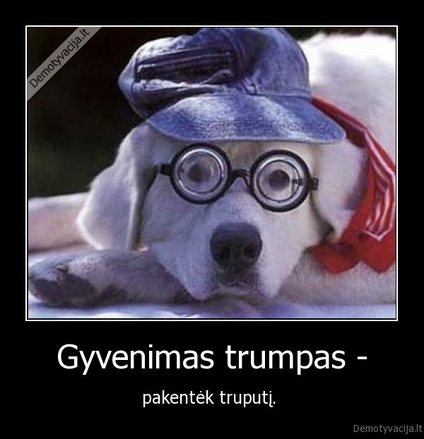 Gyvenimas trumpas -