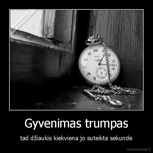 gyvenimas,sekunde
