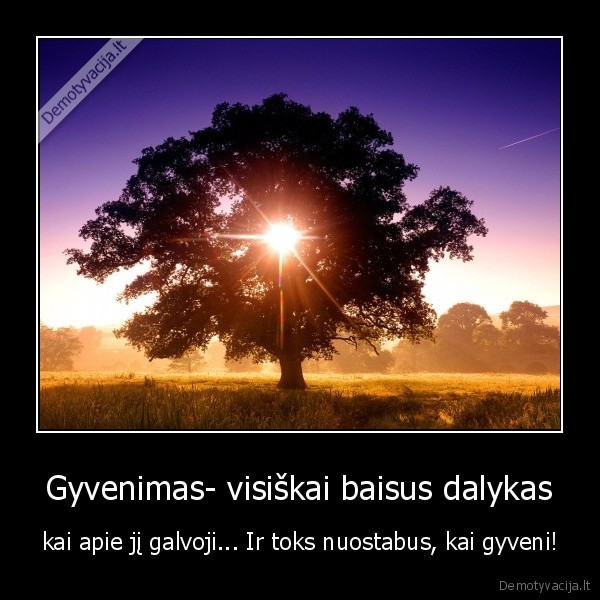Gyvenimas- visiškai baisus dalykas