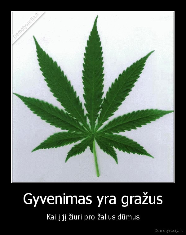 Gyvenimas yra gražus