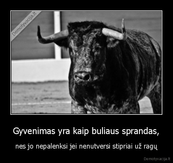 gyvenimas