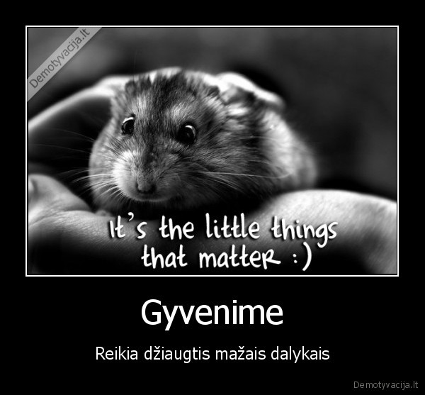 Gyvenime