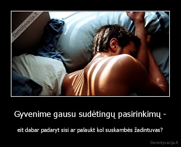 rytas,sisi