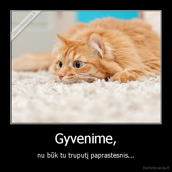 gyvenimas,paprastas