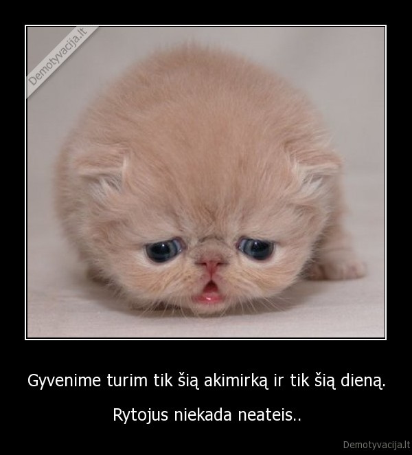 gyvenimas,viltis,prasme