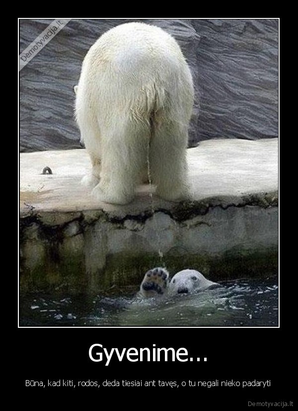 Gyvenime...