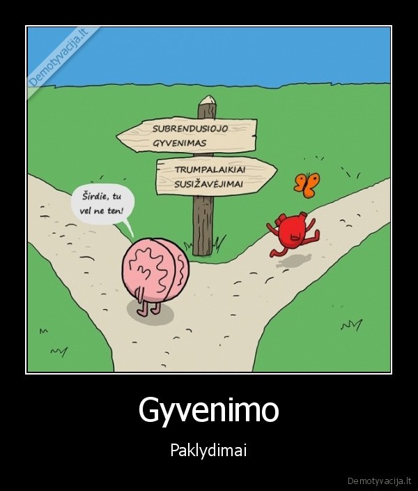 gyvenimas,protas,sirdis,kryzkeles