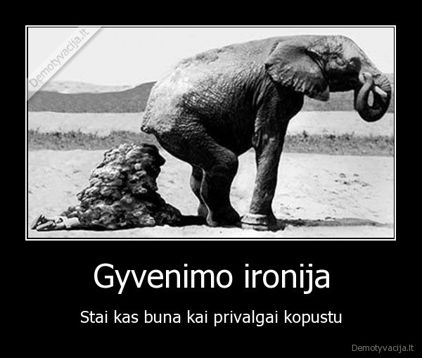 Gyvenimo ironija