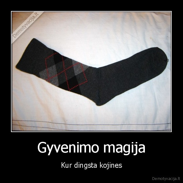 Gyvenimo magija