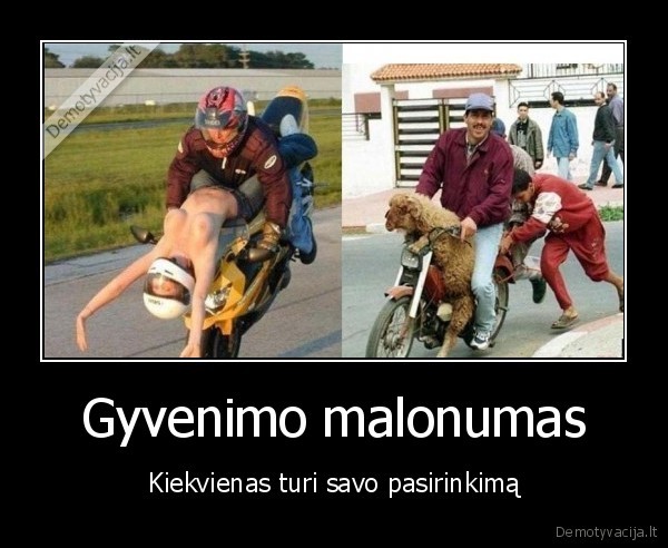 Gyvenimo malonumas