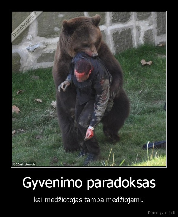 Gyvenimo paradoksas