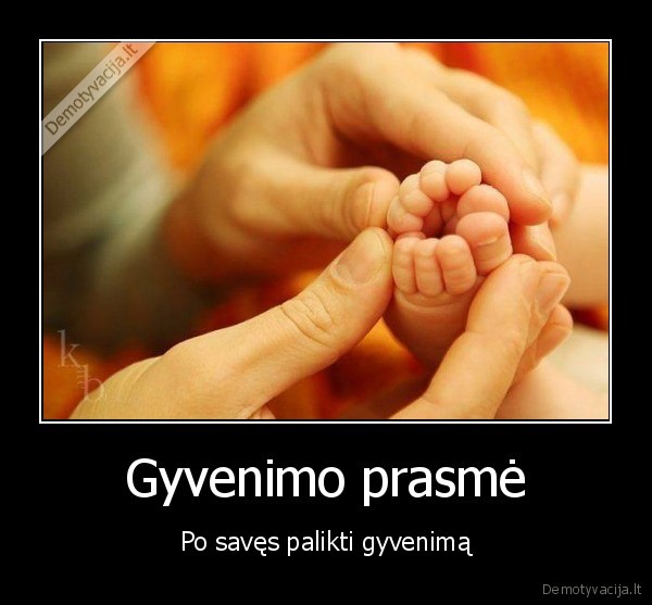 gyvenimo, prasme,prasmingas, gyvenimas,gyvybe, uzmezgimas