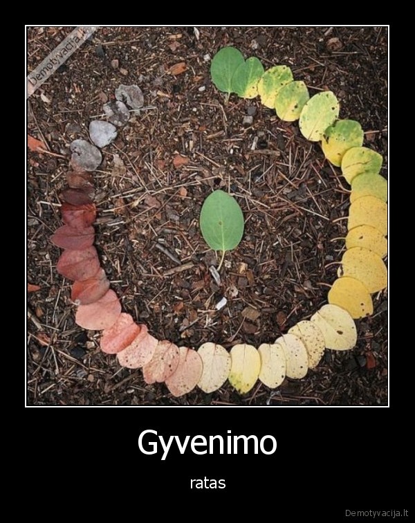 gyvenimas,ratas