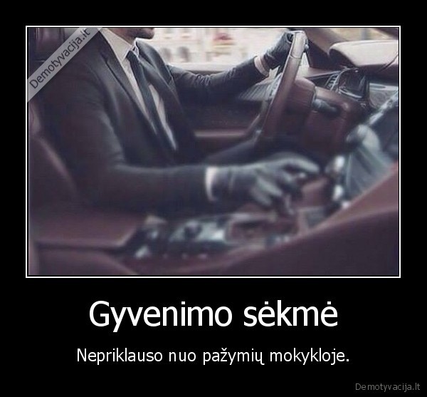 mokykla,pazymiai