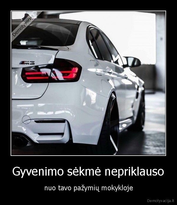 Gyvenimo sėkmė nepriklauso