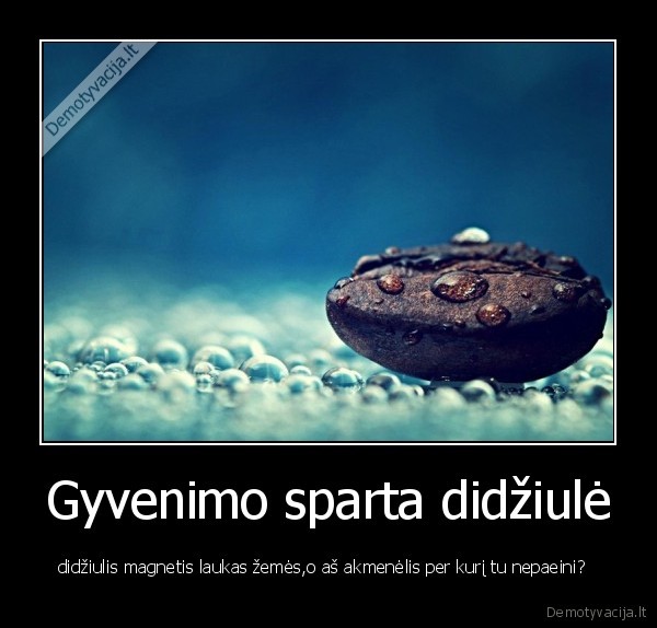 absurdas