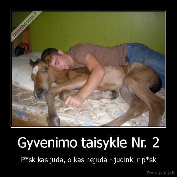 arklys,bx,horse, man