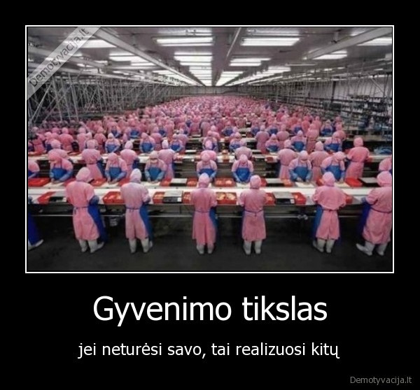 gyvenimo, tikslas